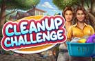 Cleanup Challenge