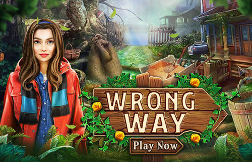 Wrong Way 🕹️ Play on CrazyGames